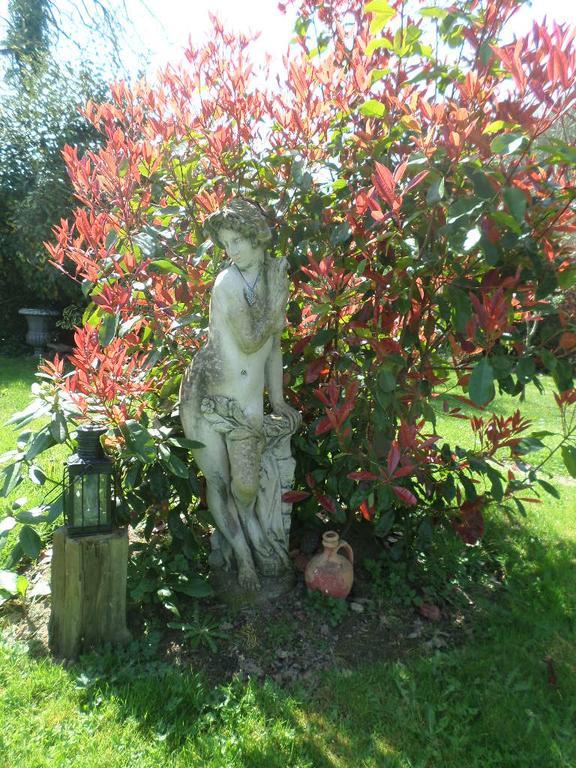 La Chevallerie B&B Isigny-le-Buat Exteriér fotografie